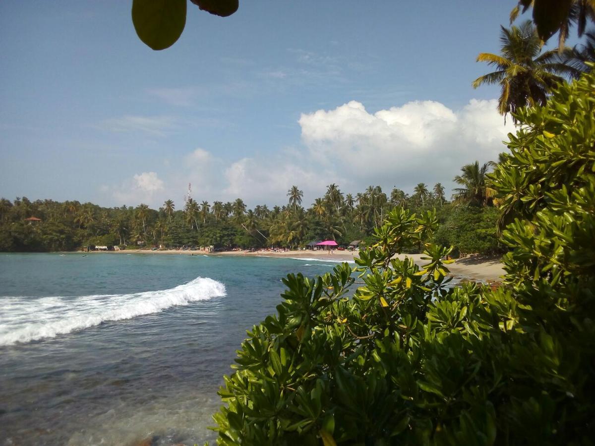 ホテル Surf Bay House ディックウェラ エクステリア 写真